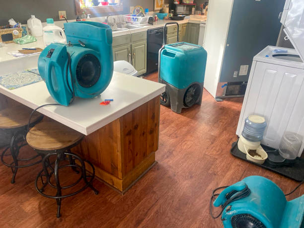 Best Water damage restoration services  in Sawgrass, FL