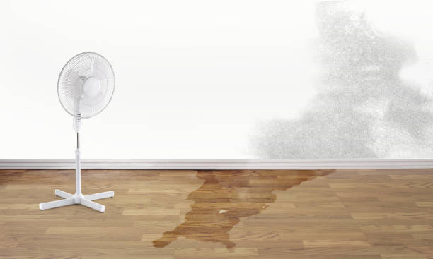 Best Commercial water damage restoration  in Sawgrass, FL